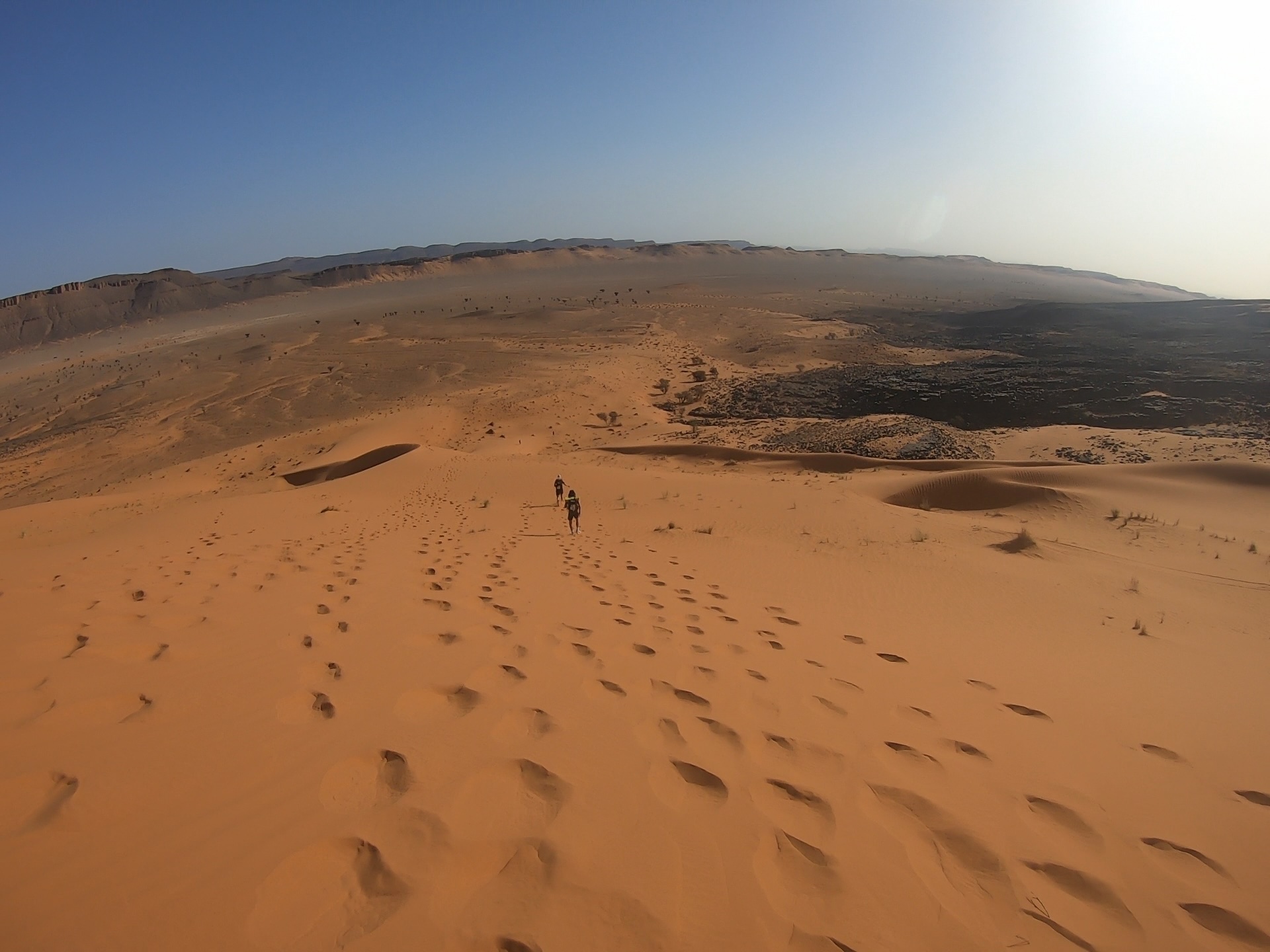 Marathon Des Sables 参加記録(動画レポート)