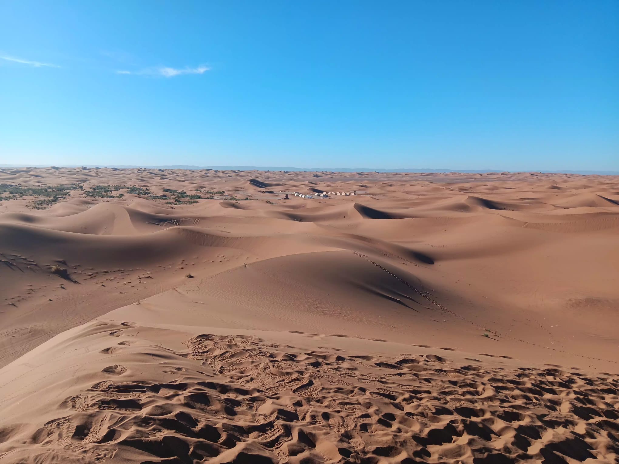 2024年 Trans Sahara Marathon 参加記録(動画レポート)